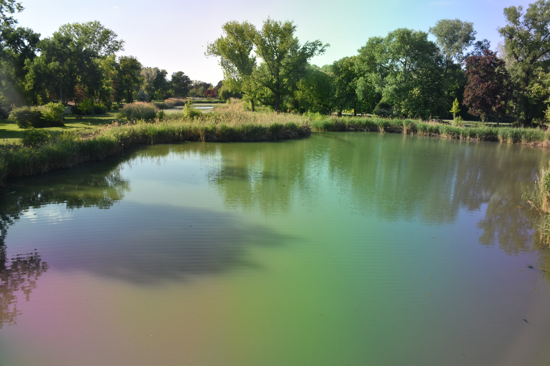 Rainbow effect in the water